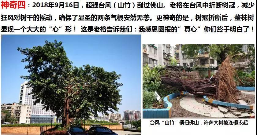 微信圖片_20190105160647.jpg