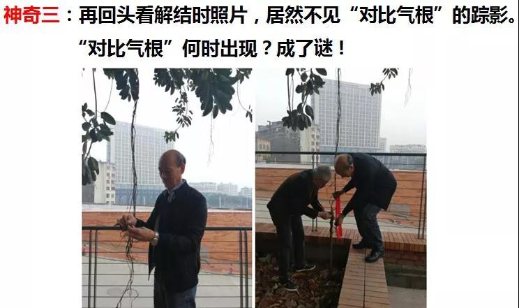 微信圖片_20190105160645.jpg